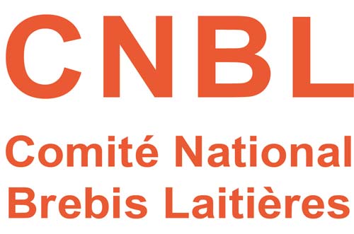 CNBL_web