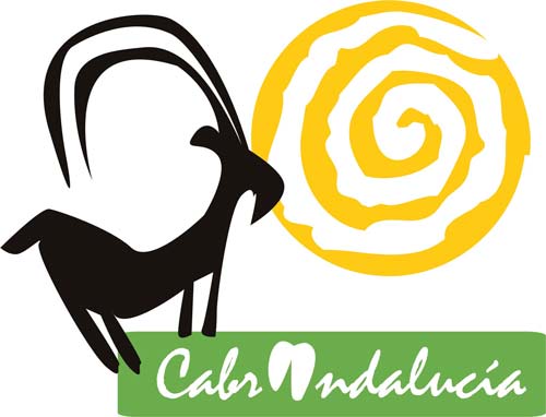 Cabrandalucia_web