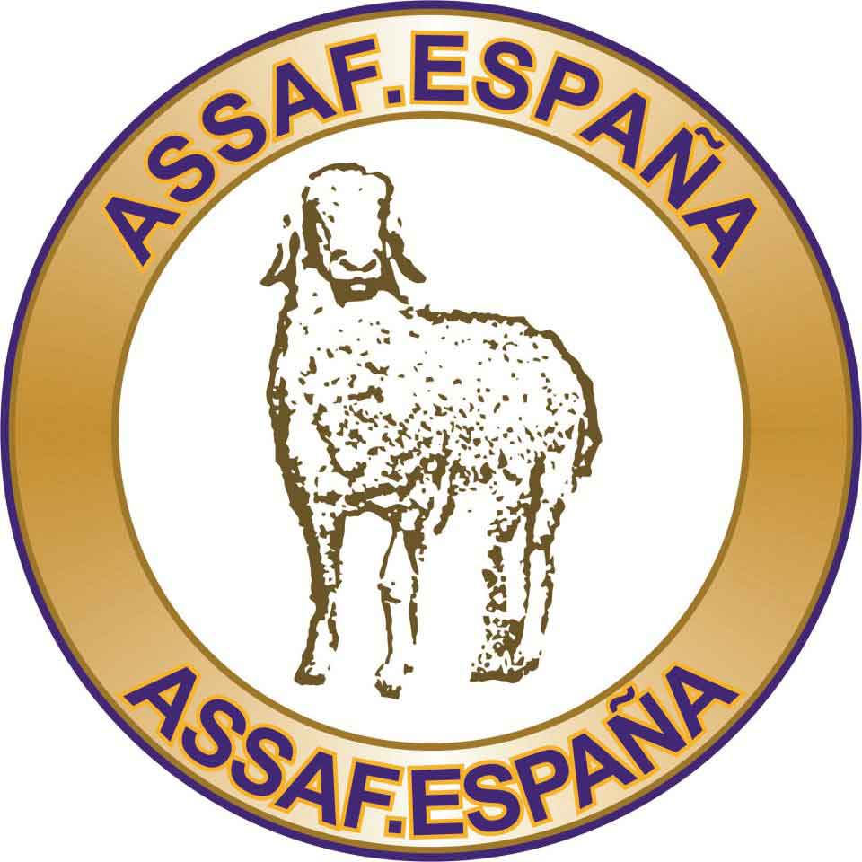 assafe_web
